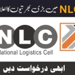 National Logistics Corporation (NLC)